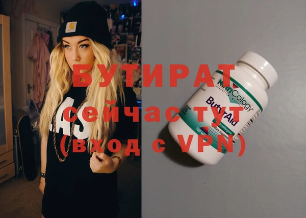 индика Дмитров
