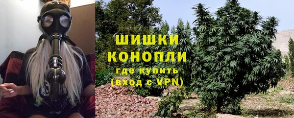 индика Дмитров