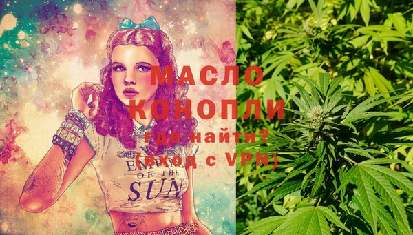 индика Дмитров