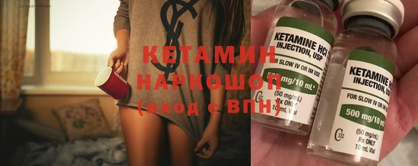 индика Дмитров