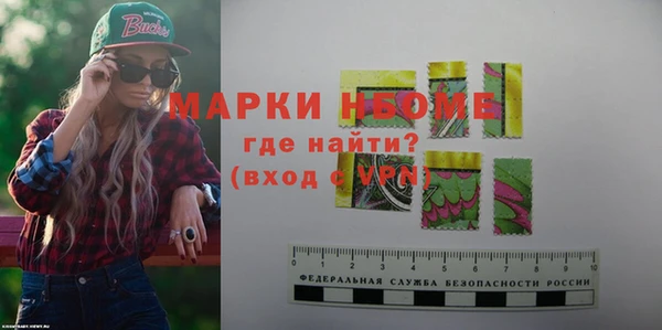 индика Дмитров