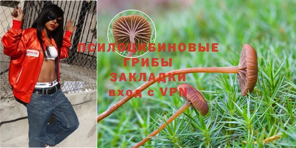 кокаин премиум Дмитриев