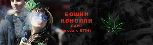 индика Дмитров