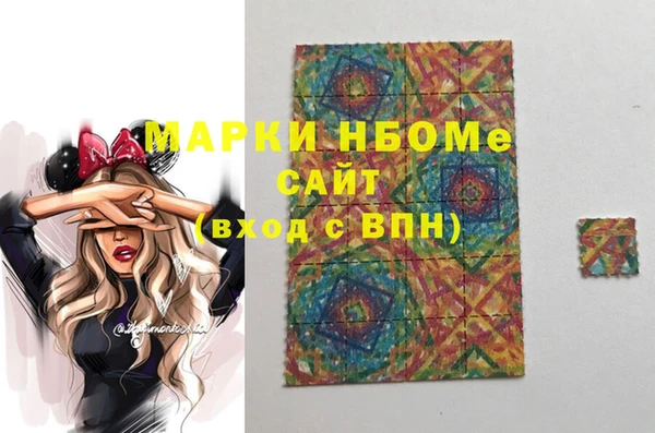 индика Дмитров
