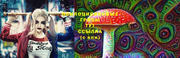 индика Дмитров