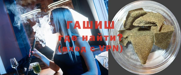 индика Дмитров