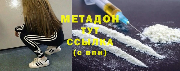 индика Дмитров