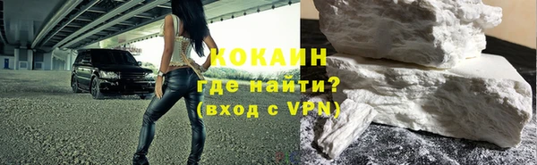 индика Дмитров