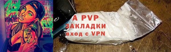 индика Дмитров