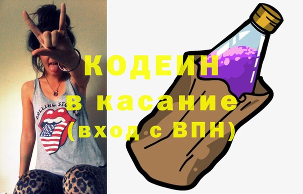 индика Дмитров