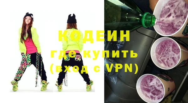 индика Дмитров