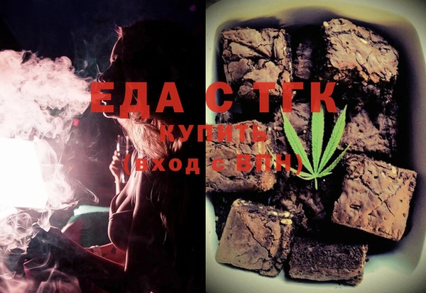 индика Дмитров