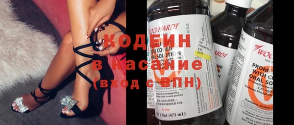 индика Дмитров
