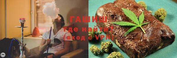 индика Дмитров