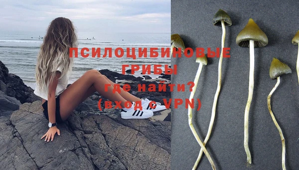 PSILOCYBIN Дмитровск
